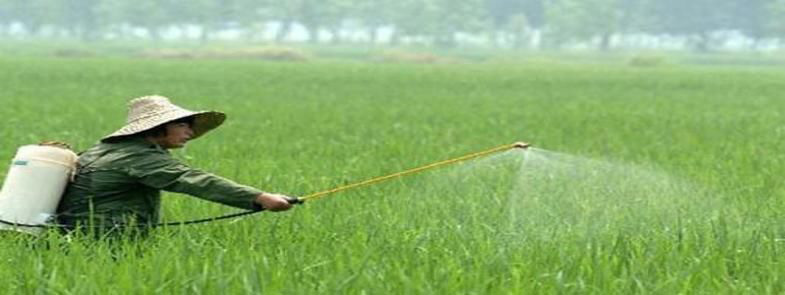 使用農藥時泡沫太多是怎么回事，農藥消泡劑能有用嗎？