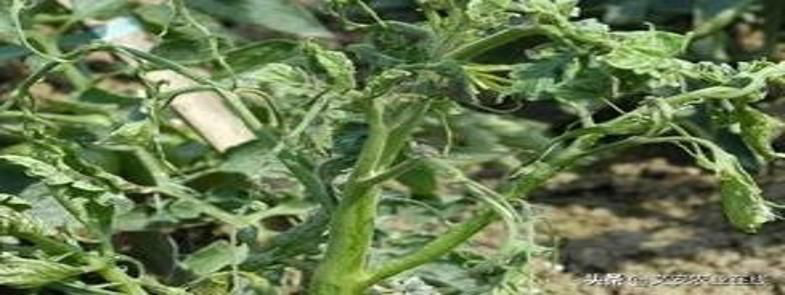 懸浮劑泡沫多，懸浮劑消泡劑能解決泡沫嗎？