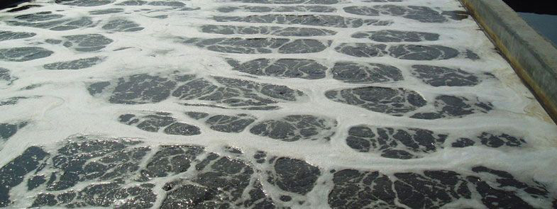 生化池泡沫多是什么原因，生化池泡沫怎么解決？