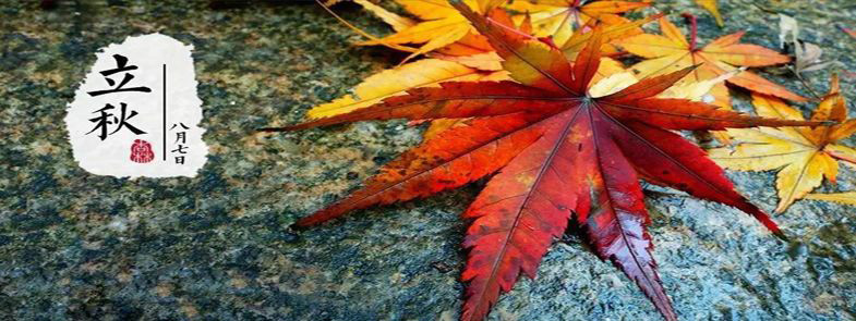 一枕新涼迎立秋