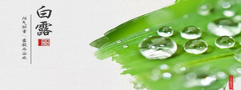 露從今夜白，夜自此日涼