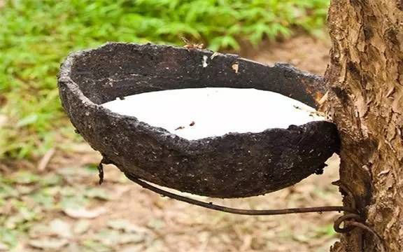 天然乳膠泡沫多是什么原因，有什么危害？