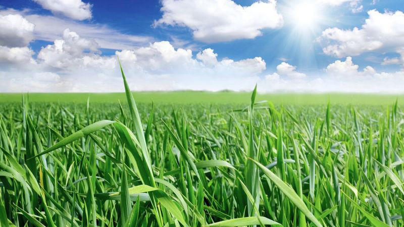 葉面肥起泡怎么處理，用什么消泡劑能解決泡沫？