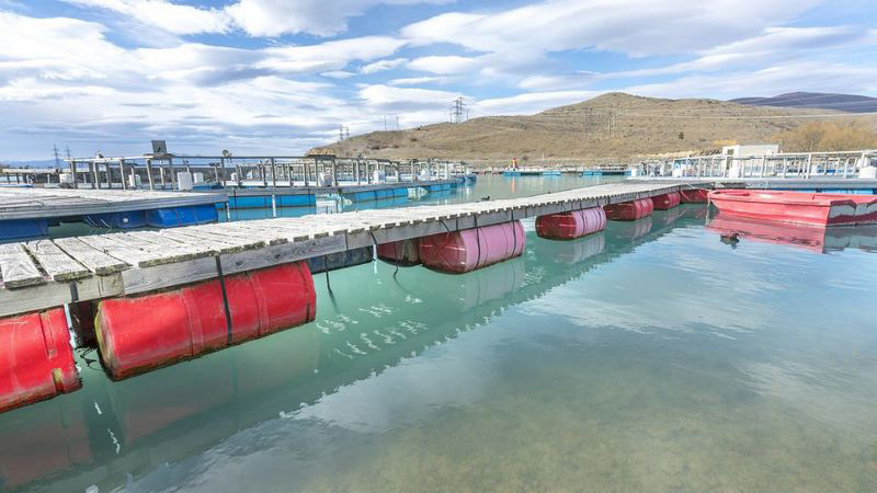 污水起泡沫，用什么方法去除泡沫？