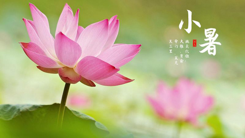 溫風至，小暑到