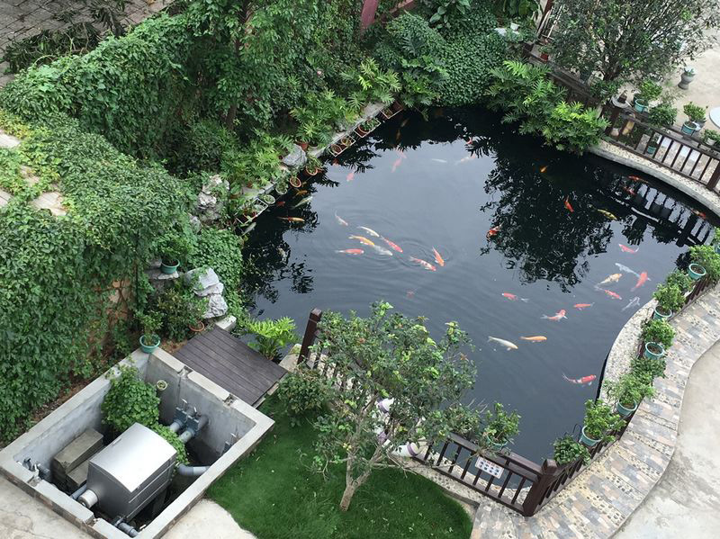 景觀池泡沫什么情況，怎么處理景觀池泡沫？