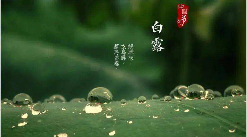 清風(fēng)至，白露生
