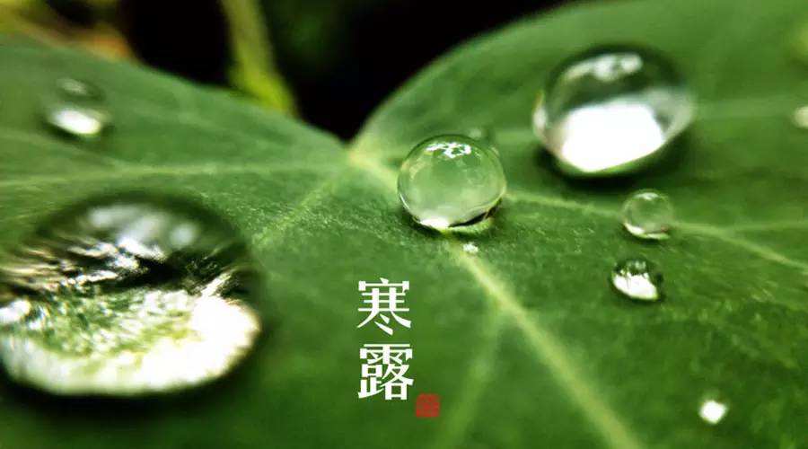 凝露成霜，寒意愈盛