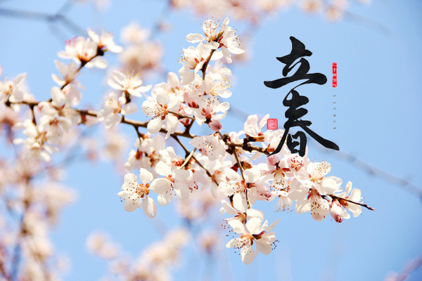 今年迎氣始，昨夜伴春回