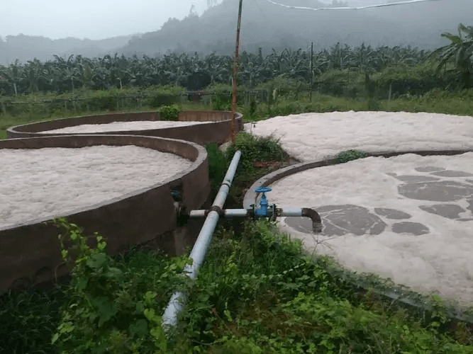 好氧池消泡劑應(yīng)用場景圖
